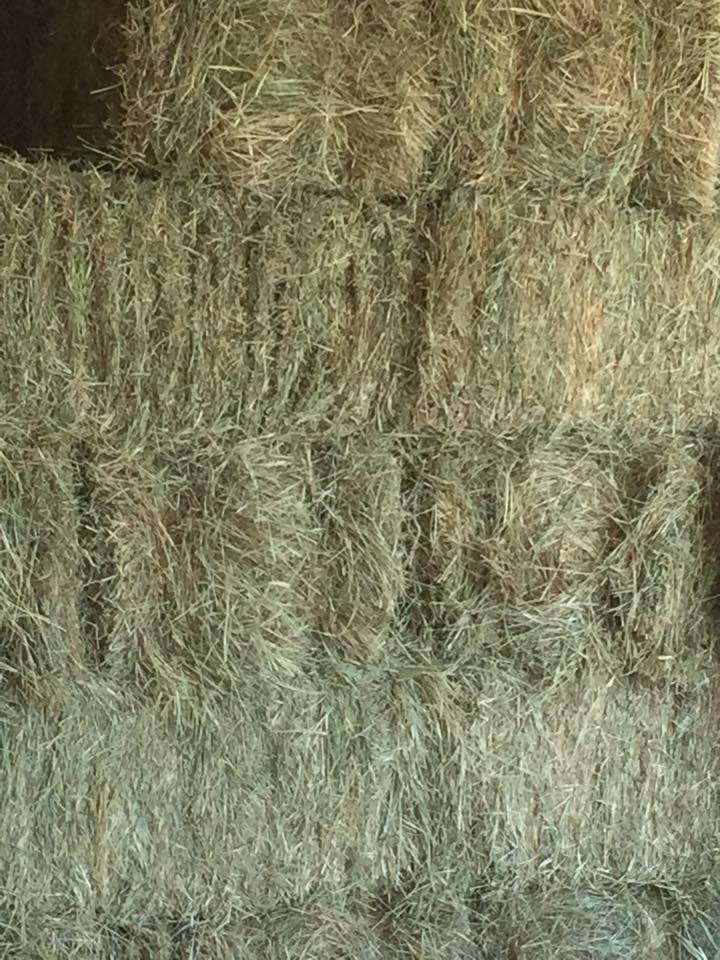 Pic of hay stack
